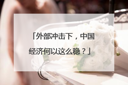 外部冲击下，中国经济何以这么稳？