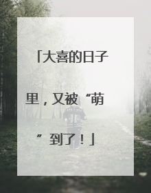 大喜的日子里，又被“萌”到了！