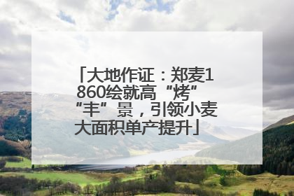 大地作证：郑麦1860绘就高“烤”“丰”景，引领小麦大面积单产提升