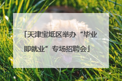 天津宝坻区举办“毕业即就业”专场招聘会