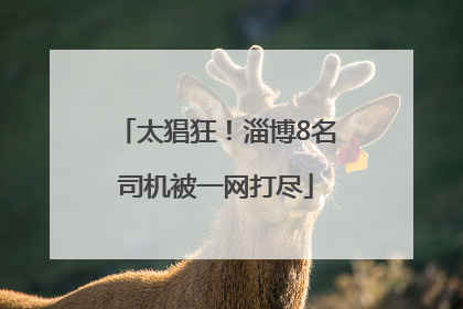太猖狂！淄博8名司机被一网打尽