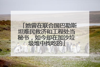 她曾在联合国巴勒斯坦难民救济和工程处当秘书，如今却在加沙垃圾堆中找吃的