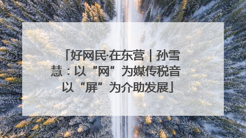好网民·在东营｜孙雪慧：以“网”为媒传税音 以“屏”为介助发展
