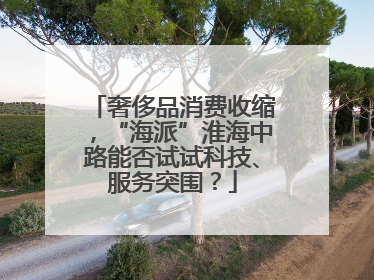 奢侈品消费收缩，“海派”淮海中路能否试试科技、服务突围？
