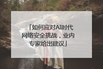如何应对AI时代网络安全挑战，业内专家给出建议