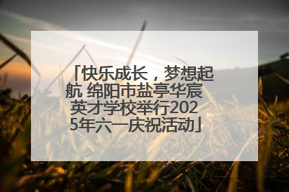 快乐成长，梦想起航 绵阳市盐亭华宸英才学校举行2025年六一庆祝活动