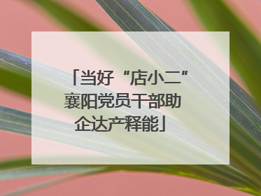 当好“店小二” 襄阳党员干部助企达产释能