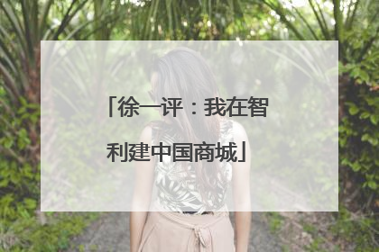 徐一评：我在智利建中国商城