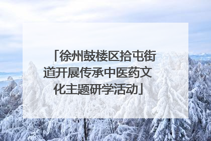 徐州鼓楼区拾屯街道开展传承中医药文化主题研学活动