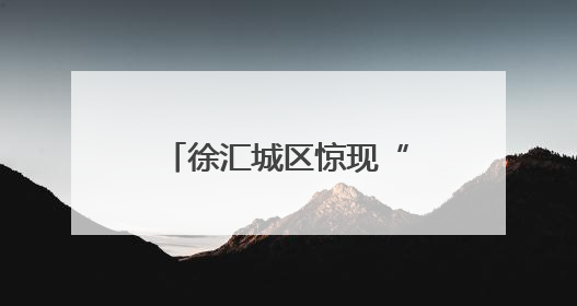 徐汇城区惊现“鸟中国宝”！看城管小哥如何救下这只“彩虹小鸟”