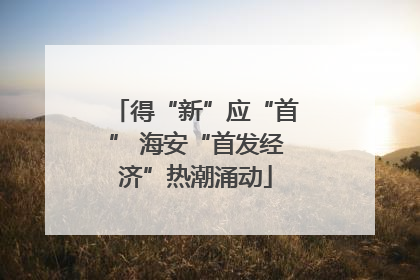 得“新”应“首” 海安“首发经济”热潮涌动