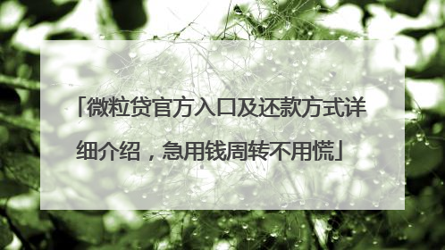 微粒贷官方入口及还款方式详细介绍，急用钱周转不用慌