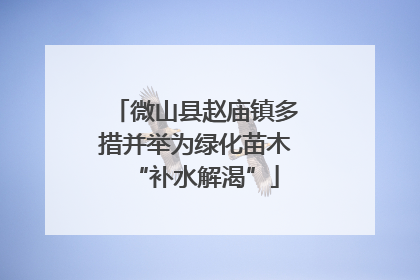 微山县赵庙镇多措并举为绿化苗木“补水解渴”
