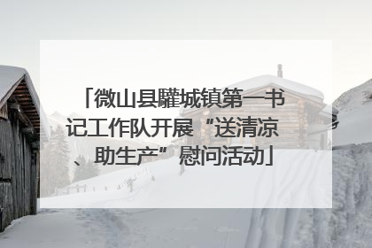 微山县驩城镇第一书记工作队开展“送清凉、助生产”慰问活动