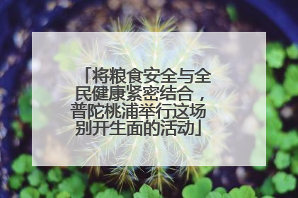 将粮食安全与全民健康紧密结合，普陀桃浦举行这场别开生面的活动