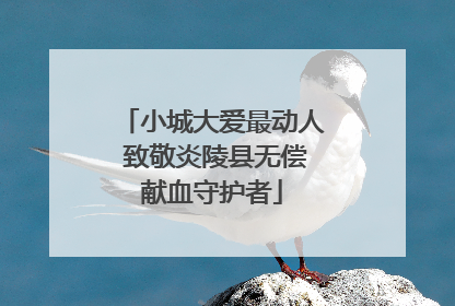 小城大爱最动人 致敬炎陵县无偿献血守护者
