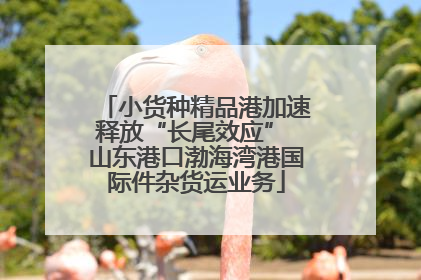 小货种精品港加速释放“长尾效应” 山东港口渤海湾港国际件杂货运业务