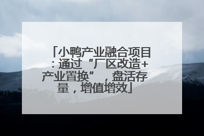 小鸭产业融合项目：通过“厂区改造+产业置换”，盘活存量，增值增效