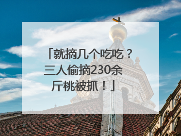 就摘几个吃吃？三人偷摘230余斤桃被抓！