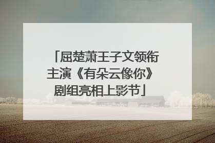 屈楚萧王子文领衔主演《有朵云像你》剧组亮相上影节