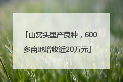 山窝头里产良种，600多亩地增收近20万元