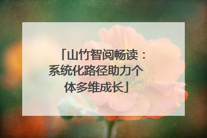 山竹智阅畅读：系统化路径助力个体多维成长