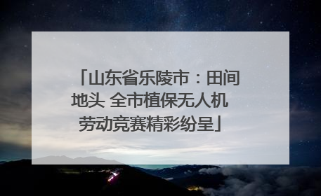 山东省乐陵市：田间地头 全市植保无人机劳动竞赛精彩纷呈