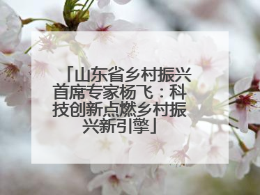 山东省乡村振兴首席专家杨飞：科技创新点燃乡村振兴新引擎