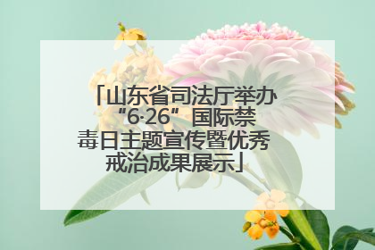 山东省司法厅举办“6·26”国际禁毒日主题宣传暨优秀戒治成果展示