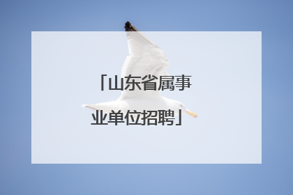 山东省属事业单位招聘