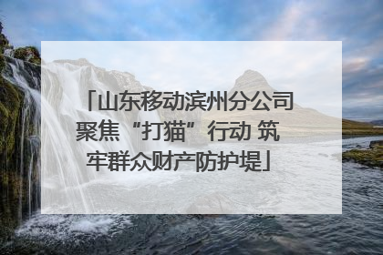 山东移动滨州分公司聚焦“打猫”行动 筑牢群众财产防护堤