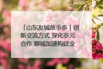 山东友城故事多｜创新交流方式 深化多元合作 聊城加速构建全球友城新格局
