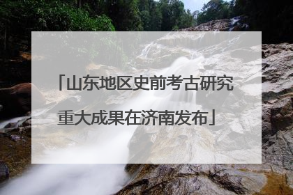山东地区史前考古研究重大成果在济南发布