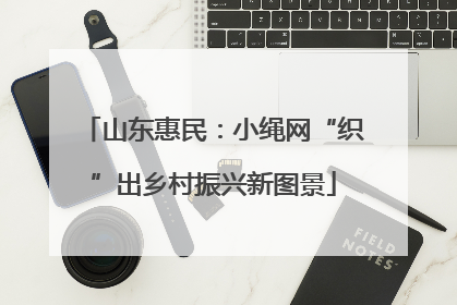 山东惠民：小绳网“织”出乡村振兴新图景