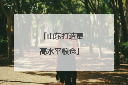 山东打造更高水平粮仓