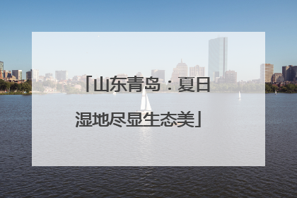 山东青岛：夏日湿地尽显生态美