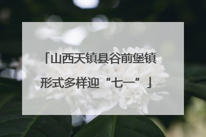 山西天镇县谷前堡镇 形式多样迎“七一”