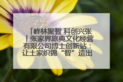 峰林聚智 科创兴张丨张家界旅典文化经营有限公司博士创新站：让土家织锦“智”造出非遗新传奇