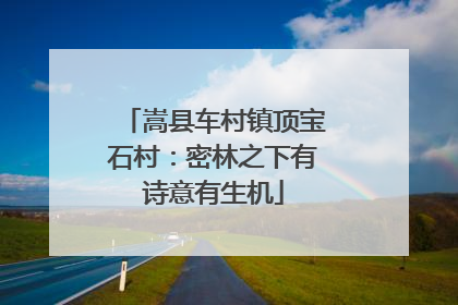 嵩县车村镇顶宝石村：密林之下有诗意有生机