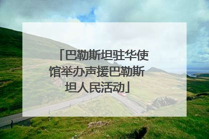 巴勒斯坦驻华使馆举办声援巴勒斯坦人民活动