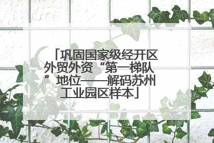 巩固国家级经开区外贸外资“第一梯队”地位——解码苏州工业园区样本
