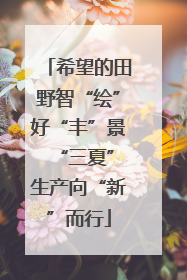 希望的田野智“绘”好“丰”景 “三夏”生产向“新”而行