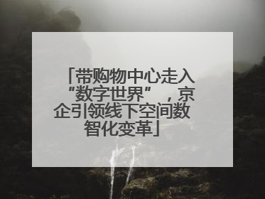 带购物中心走入“数字世界”，京企引领线下空间数智化变革