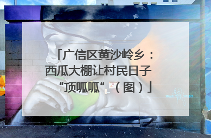 广信区黄沙岭乡：西瓜大棚让村民日子“顶呱呱”（图）
