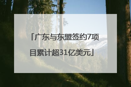 广东与东盟签约7项目累计超31亿美元