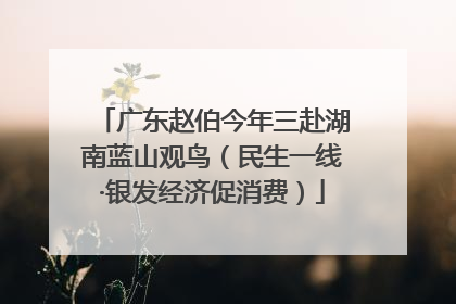 广东赵伯今年三赴湖南蓝山观鸟（民生一线·银发经济促消费）
