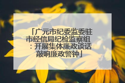 广元市纪委监委驻市经信局纪检监察组：开展集体廉政谈话 敲响廉政警钟