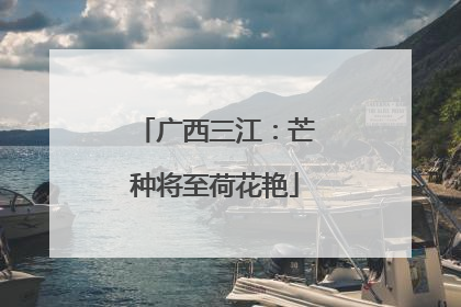 广西三江：芒种将至荷花艳