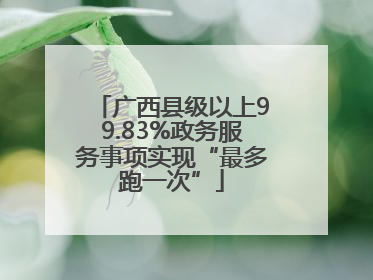 广西县级以上99.83%政务服务事项实现“最多跑一次”