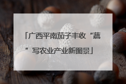 广西平南茄子丰收“蔬”写农业产业新图景